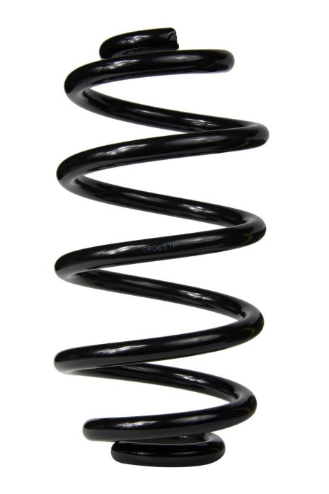 Пружина задняя Opel Vectra C 02-, RAISO (SR065TP)