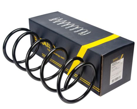 Передня пружина Focus 1.8-2.0i 16V 99-04, RAISO (SF177TP)