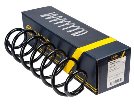 Задняя пружина для Ford Fusion 02-12 (350*10,3*110) от RAISO (SR183TP)