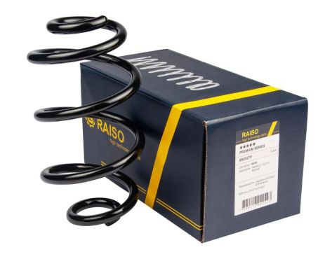 Задняя пружина, Renault Clio III/Modus 05-, RAISO (SR252TP)