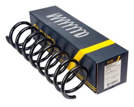 Задняя пружина Ford Focus D11,5/109 L385 L/R, RAISO (SR179TP)