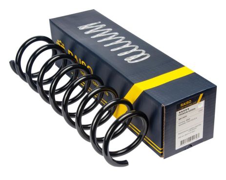 Задняя пружина Ford Focus D11,5/109 L385 L/R, RAISO (SR179TP)