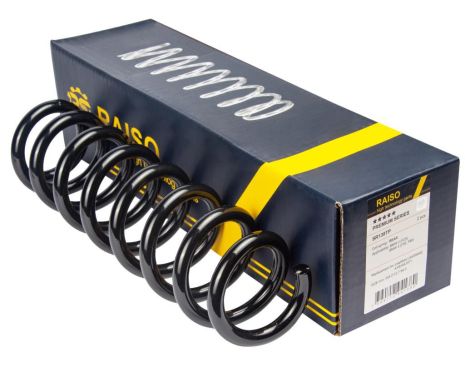 Задняя пружина BMW 2 (F23)/3 (F30/F80) 12-21, RAISO (SR138TP)