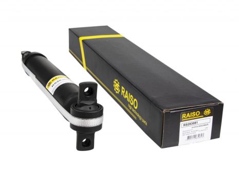 Амортизатор задній для Ford Edge 14- (газ.), RAISO (RS283081)