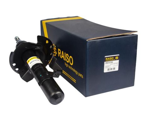 Амортизатор передній лів. Ford Galaxy II/Mondeo IV/S-Max 06-15, RAISO (RS313759)