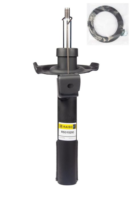 Амортизатор передній Mercedes A /B Sports Tourer 04-12, RAISO (RS315293)