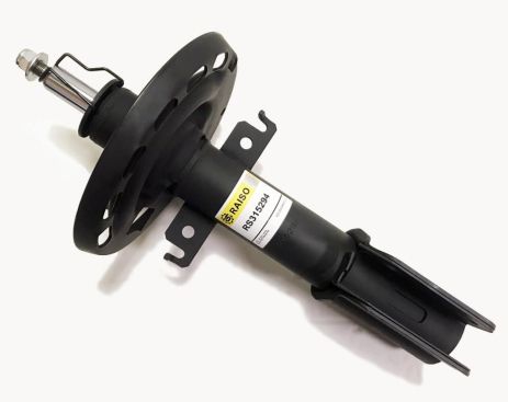Амортизатор передній Megane III 08- (газ), RAISO (RS315294)