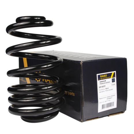Задняя пружина Trafic/Vivaro 03- (286*17*163), RAISO (SR106TP)
