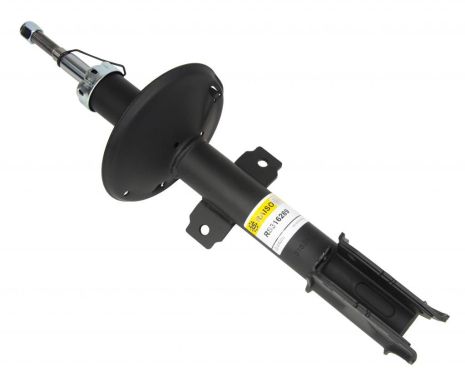 Передній амортизатор для Duster (4x4) 10- (газовий), RAISO (RS316289)