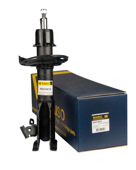 Передний амортизатор Honda Civic 06-11 Пр. (газ.), RAISO (RS314619)