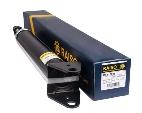 Амортизатор задний Mercedes M-Class 05-11, RAISO (RS315235)