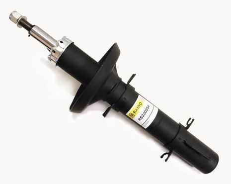 Передній амортизатор для Golf IV/Bora 97-05/Octavia 96-07/Leon 00-06 (газ.), RAISO (RS200954)