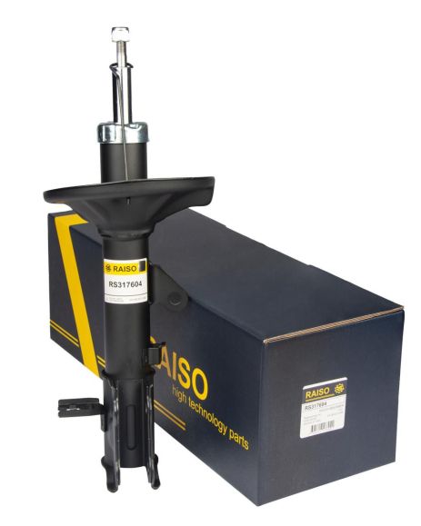 Лівий задній амортизатор Elantra III 00-06 (газ,), RAISO (RS317604)