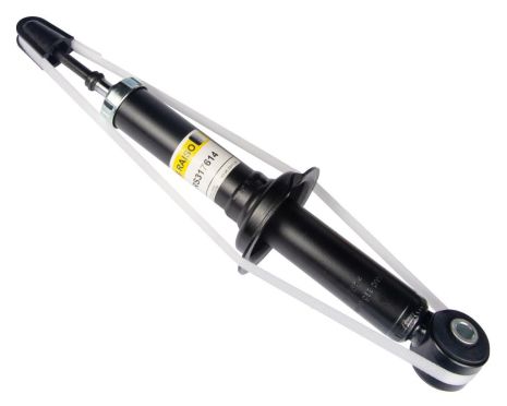 Задній амортизатор Mitsubishi Outlander I 03-04, RAISO (RS317614)