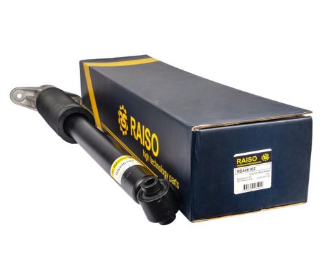 Задний амортизатор Tesla Model 3/Model Y 17- (полный привод) (газ.), RAISO (RS446102)