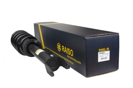 Амортизатор передній Tesla Model 3 (комплект захисний з пружиною,опорою) Пр. (газ.), RAISO (RS436901)