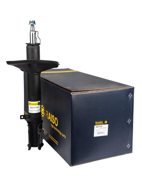 Амортизатор передній пр. Toyota Rav IV 94-00, RAISO (RS317163)