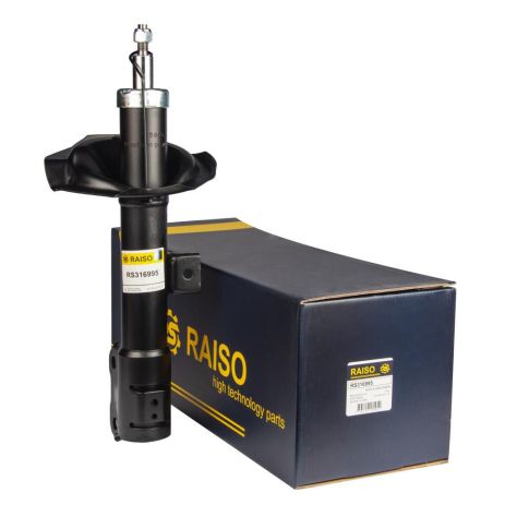 Передний амортизатор Outlander/Peugeot 4007 07- (газ.), RAISO (RS316995) Передний амортизатор Outlander/Peugeot 4007 07- (газ.), RAISO (RS316995)