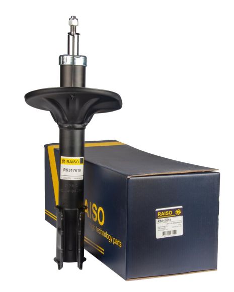 Амортизатор передній Mitsubishi Outlander -07 (газ.), RAISO (RS317610)