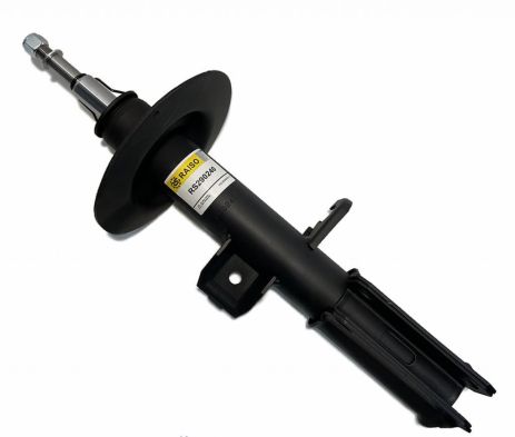 Амортизатор передній лів. BMW X5 E53 00-06 3.0-4.6, RAISO (RS290240) - БМВ Х5