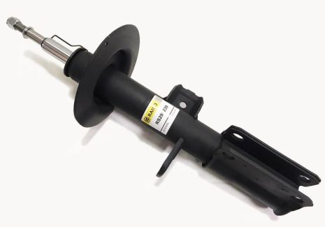 Амортизатор передній пр. BMW X5 E53 00-06 3.0-4.6, RAISO (RS290239) Амортизатор передній пр. BMW X5 E53 00-06 3.0-4.6, RAISO (RS290239)