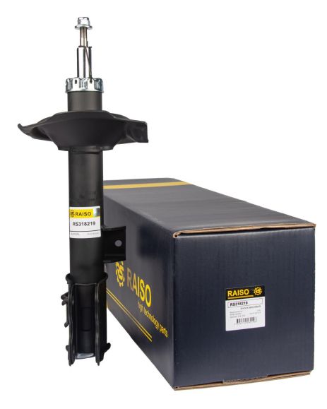 Задний амортизатор для Nissan X-Trail (T30) 01-07 (газовый), RAISO (RS318219)