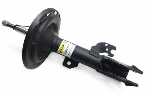 Амортизатор передній пр. Toyota Camry 06-, RAISO (RS317117)