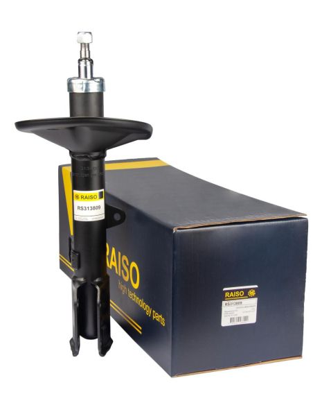 Передній лівий амортизатор для Toyota Rav 4 II 00-05 (газ,), RAISO (RS313809)