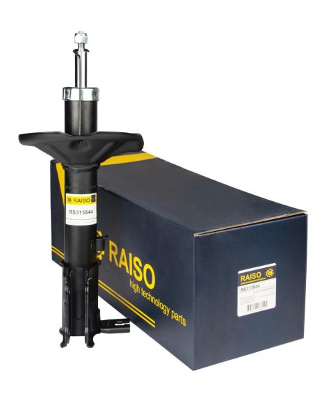 Задний амортизатор, Accent II 00-05 (газ), RAISO (RS313844)