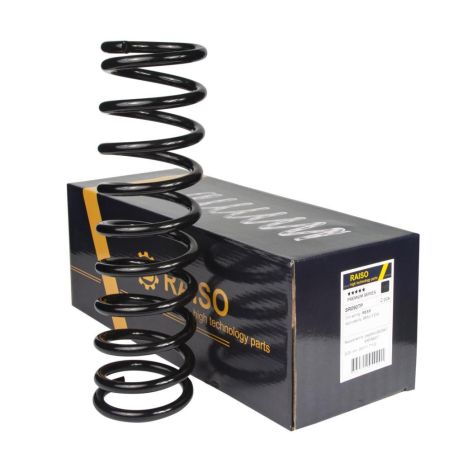 Задня пружина для BMW 5 88-95, RAISO (SR090TP)