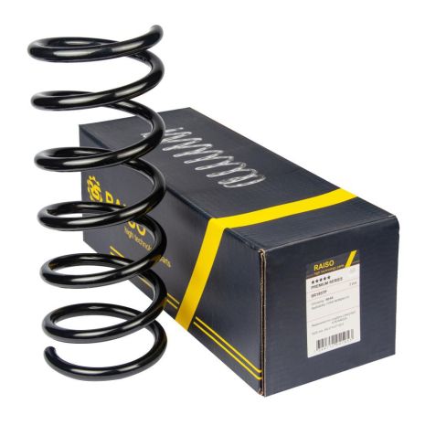 Задні пружини для Ford Mondeo універсал 07-, RAISO (SR195TP)