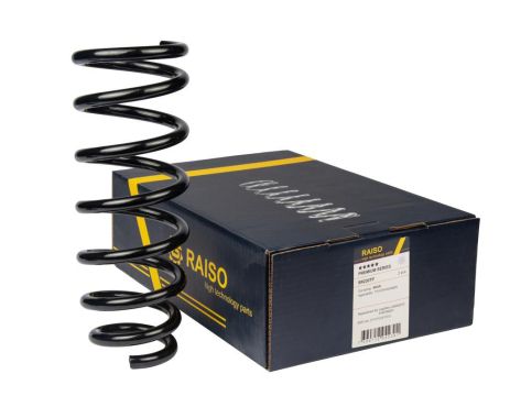 Задняя пружина Toyota Avensis 03-08, RAISO (SR230TP)