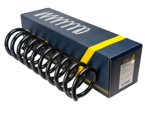 Задняя пружина для Ford Kuga I 08-12 (416*13,5*112), RAISO (SR190TP)