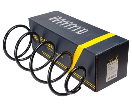 Передня пружина Citroen C4/C4 I/Peugeot 307 00-12 (445*12,8*170), RAISO (SF157TP)