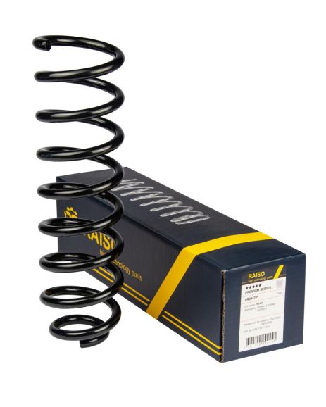 Задняя пружина Renault Grand Scénic D12/103 L373 L/R, RAISO (SR245TP)