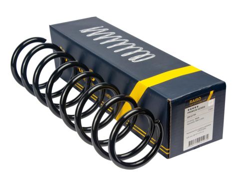 Задня пружина BMW 5 E60/E61, RAISO (SR127TP)