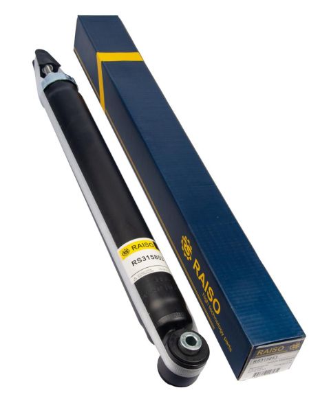 Амортизатор задній Peugeot 3008/Citroen DS4 09- (газовий), RAISO (RS315853)