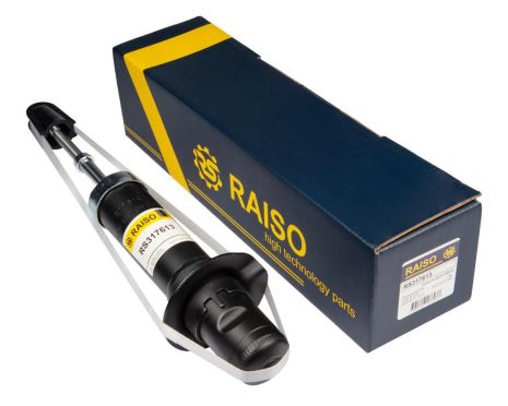 Передній амортизатор для Ssangyong Rexton,Rexton II 02- (газ,), RAISO (RS317613)