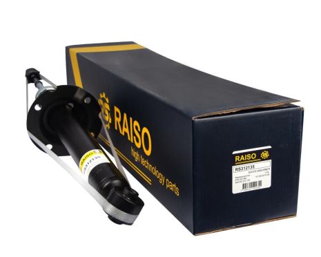 Амортизатор задній Accord VII 03-, RAISO (RS312135)