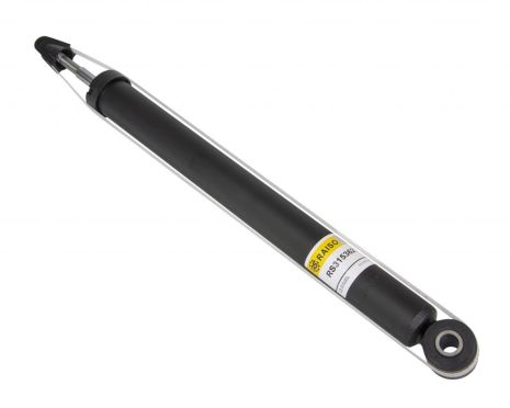 Амортизатор задній Duster (4x2) 10- (газ.), RAISO (RS315362)