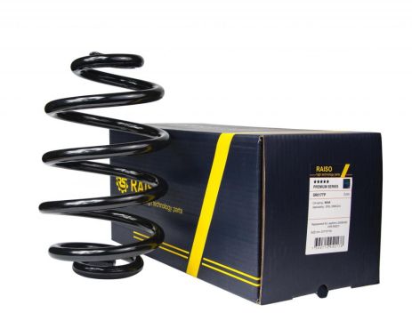 Пружина задня Omega A/Omega B 86-03 (273*15*155), RAISO (SR017TP)