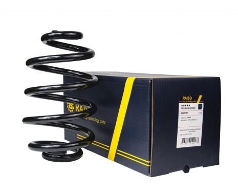 Пружина задня Omega A/Omega B 86-03 (273*15*155), RAISO (SR017TP)