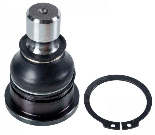 Шарова опора перед. (нижн.передн) Nissan Qashqai/X-Trail/Rogue/Renault Koleos 03-, RAISO (RL545920N) Шарова опора перед. (нижн.передн) Nissan Qashqai/X-Trail/Rogue/Renault Koleos 03-, RAISO (RL545920N)