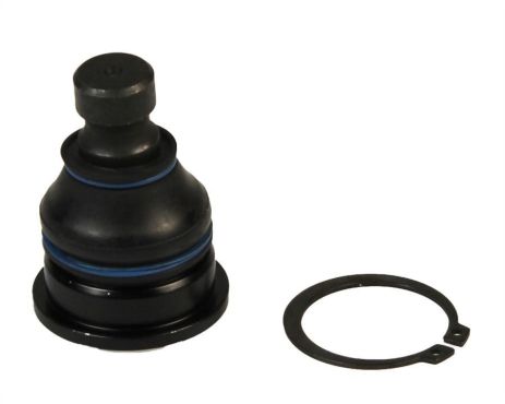 Шарова опора перед. (нижн. передн) Hyundai Equus/Santa FE/Trajet/Kia Sorento 99-15, RAISO (RL545302H)