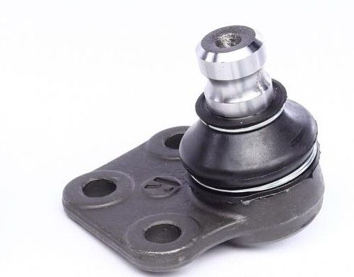 Передняя шаровая опора пр. (нижн. перед) для Renault Kangoo/Mercedes-Benz Citan 05-, RAISO (RL820567R) Передняя шаровая опора пр. (нижн. перед) для Renault Kangoo/Mercedes-Benz Citan 05-, RAISO (RL820567R)