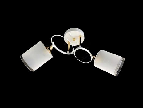 Потолочная Люстра на 2 плафона VALESO 6945B/2 (Белый+Хром)