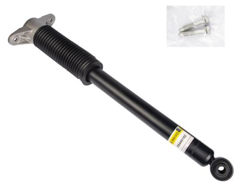 Амортизатор задній Tesla Model 3/Model Y 17- (повний привід) (газовий), RAISO (RS446102)