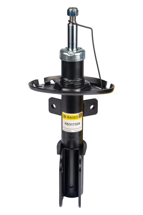 Амортизатор передній Citroen C4 Grand Picasso II/C4 Picasso II/Peugeot 308 2013+, RAISO (RS317309)