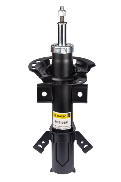 Передній лівий/правий амортизатор для Ford Mondeo V 14- (газ.), RAISO (RS319551)