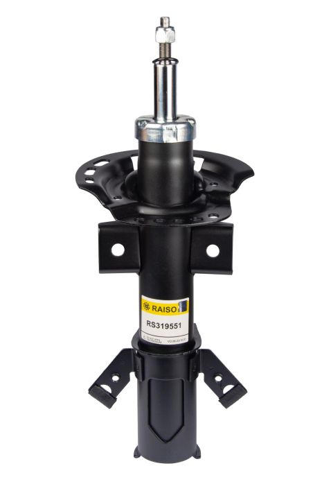 Передній лівий/правий амортизатор для Ford Mondeo V 14- (газ.), RAISO (RS319551)